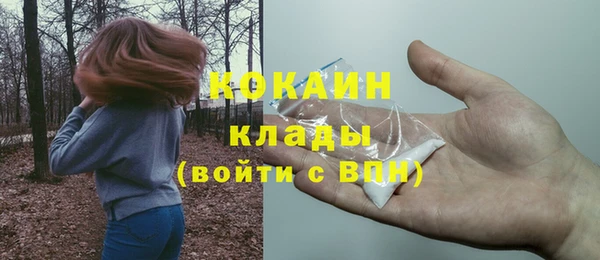 ECSTASY Абаза